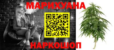 индика Заволжье