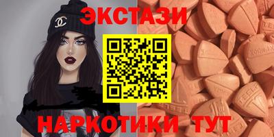 стаф Дубна