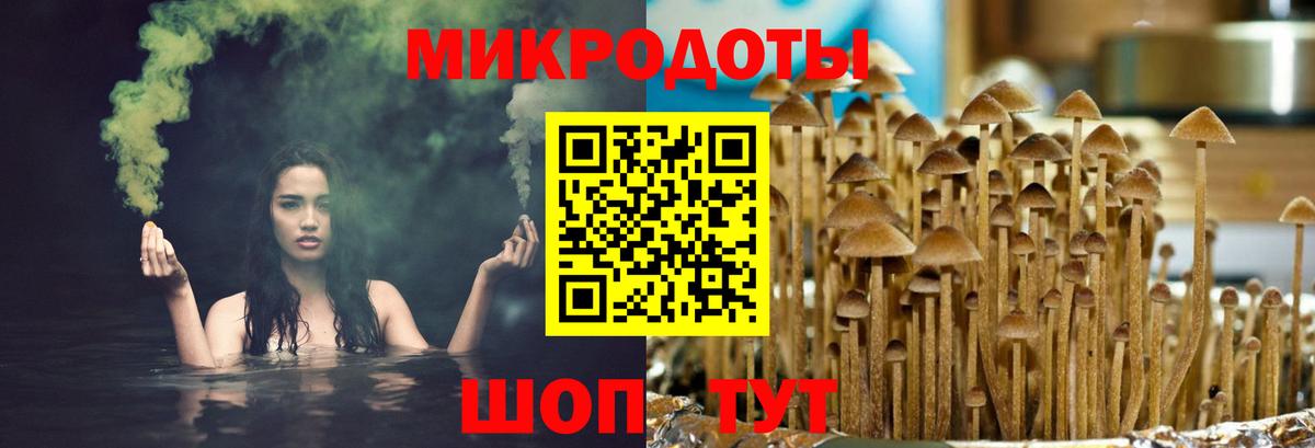 Псилоцибиновые грибы прущие грибы Чапаевск